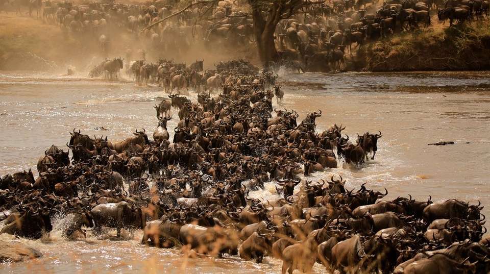 Tarangire, Ngorongoro Crater & Lake Manyara | 3 Day - Expect In Africa Safari - Tanzania - Image 9
