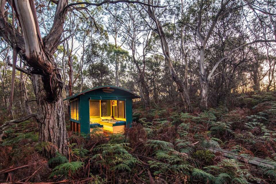 Tasmania's Maria Island Walk (Non-Portered) - Intrepid Travel - Australia - Image 12