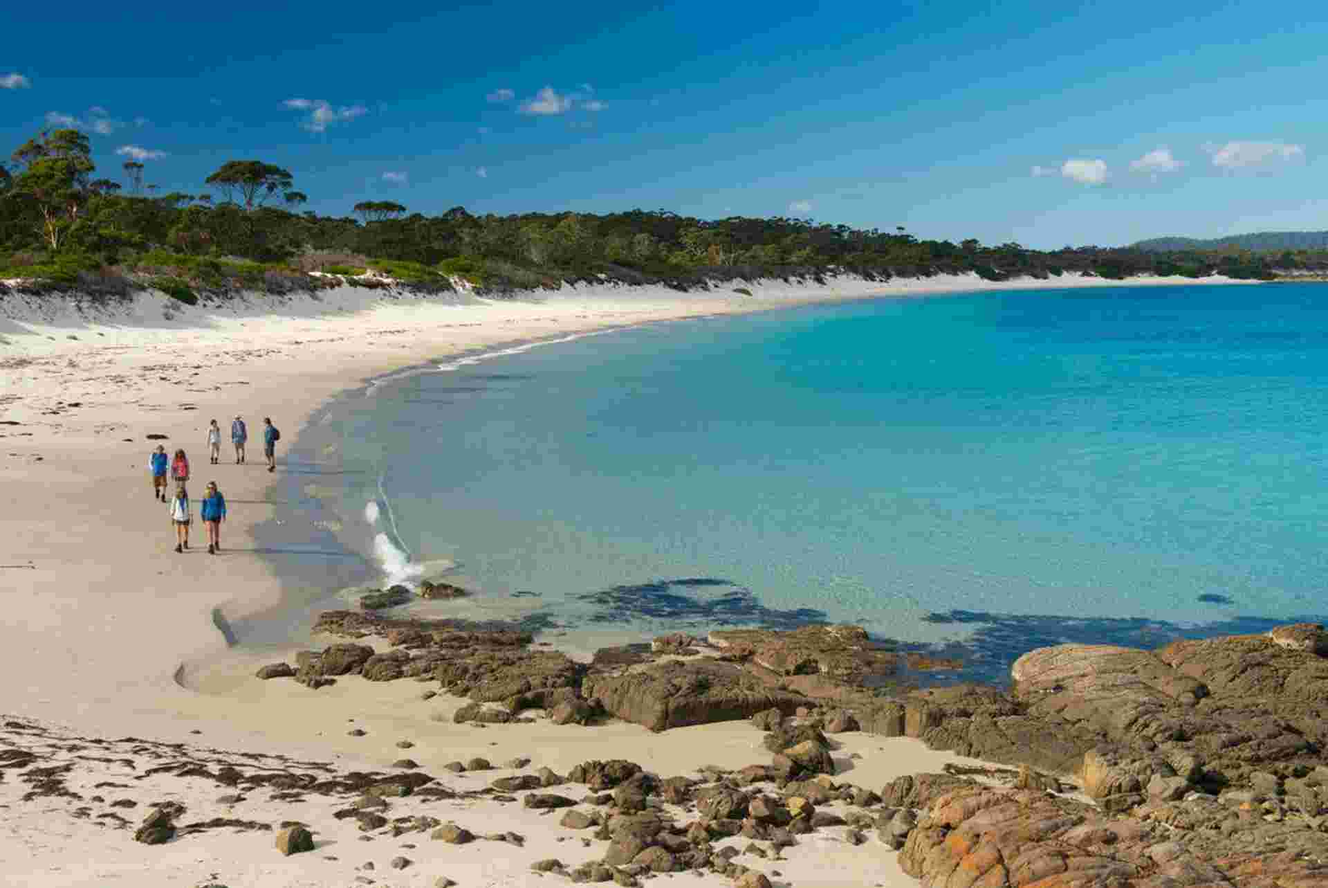 Tasmania's Maria Island Walk (Portered)