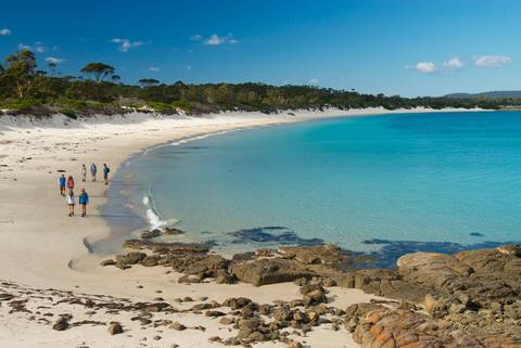 Adventure And Sport Tour: Tasmania's Maria Island Walk (portered)