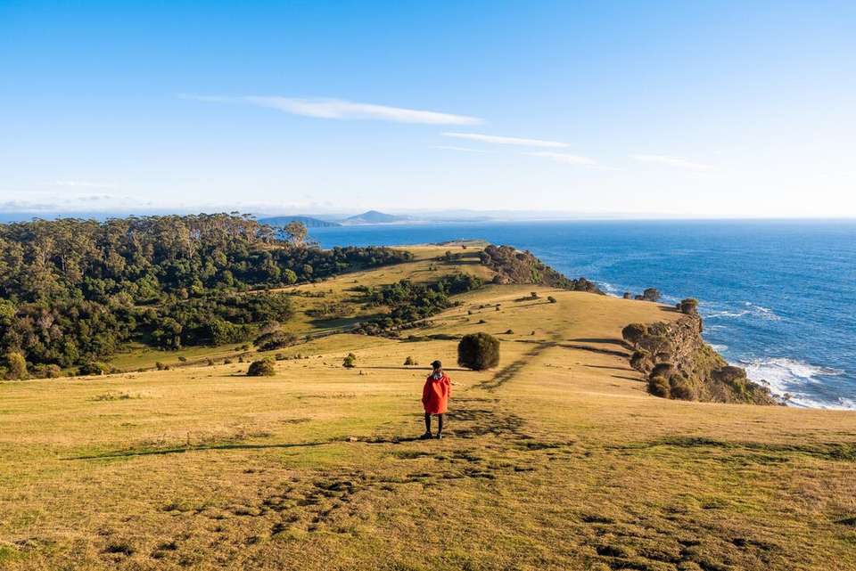 Tasmania's Maria Island Walk (Portered) - Intrepid Travel - Australia - Image 3