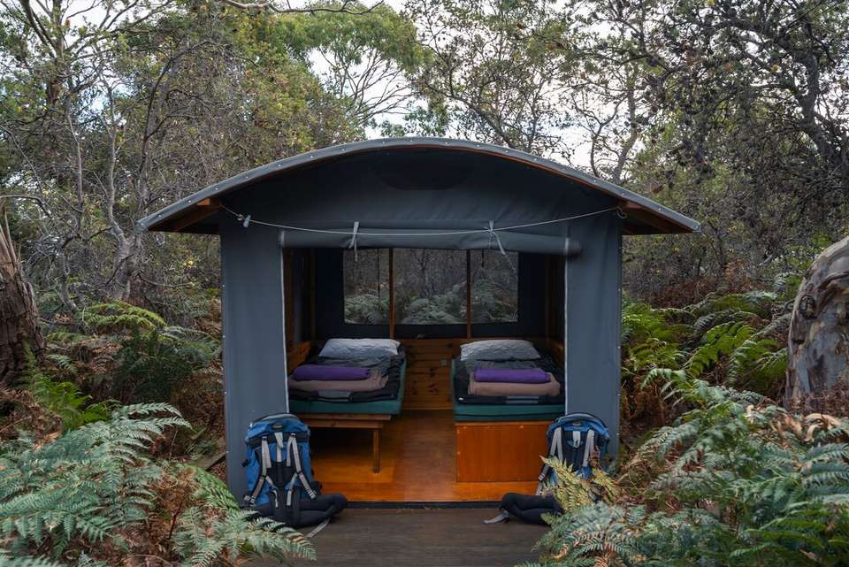 Tasmania's Maria Island Walk (Portered) - Intrepid Travel - Australia - Image 6