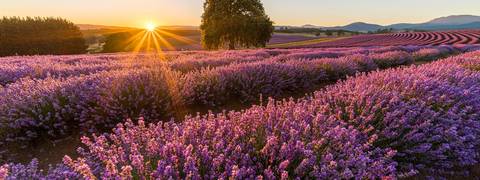 Tassie's East Coast Highlights - Fall Tours