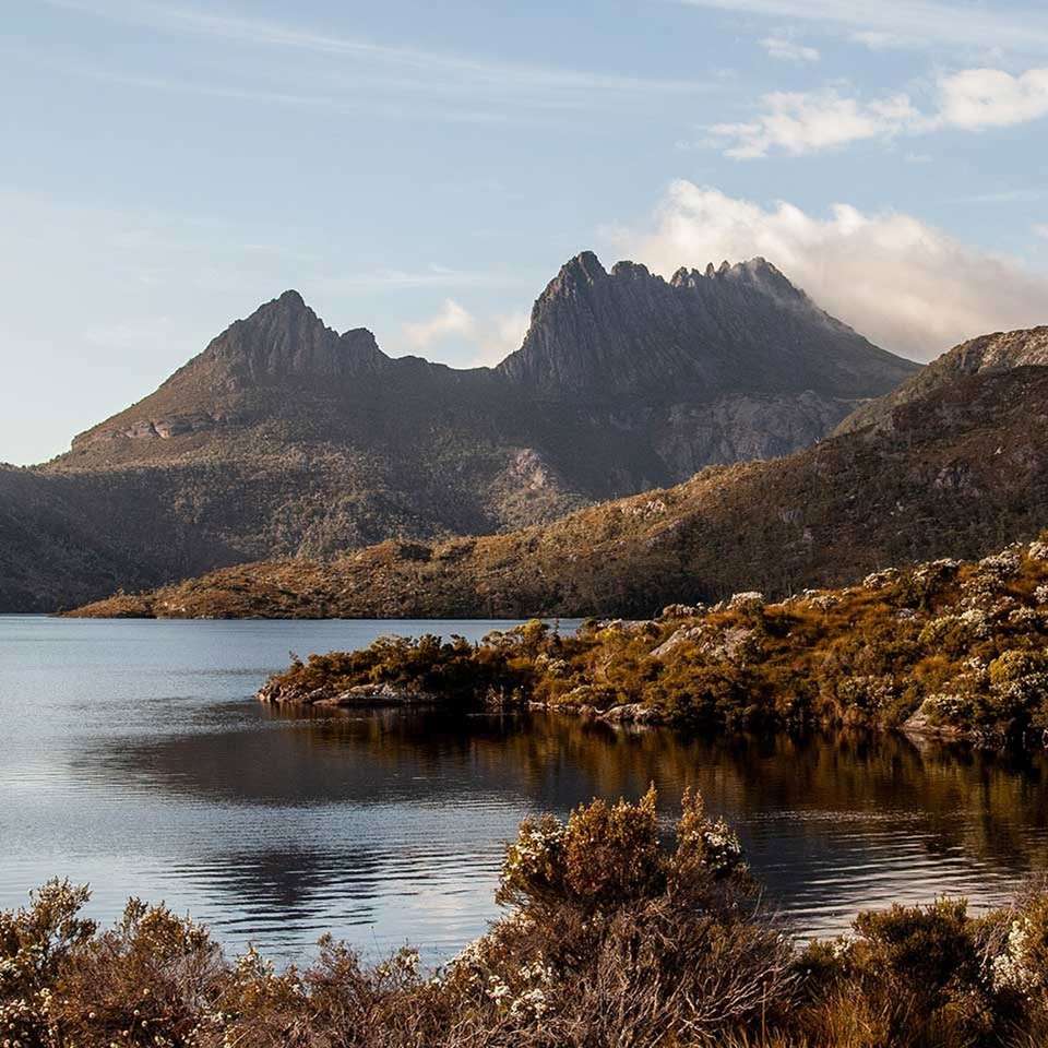 Tassie's Parks and Nature - Aat Kings - Australia - Image 6