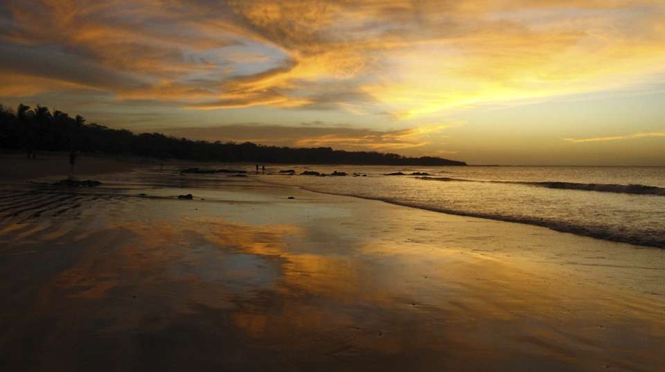 Taste of Costa Rica - Marvelus Travel - Costa Rica - Image 6