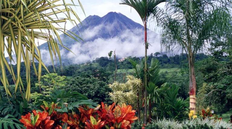 San Jose Rainforest and jungle visits Tour: Taste of Costa Rica