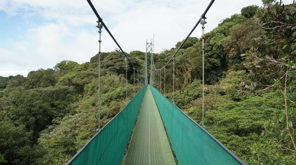 Taste of Costa Rica - Marvelus Travel - Costa Rica - Image 8
