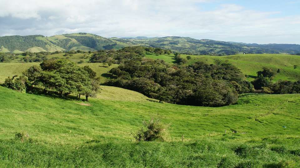Taste of Costa Rica - Marvelus Travel - Costa Rica - Image 9