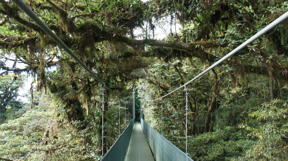 Taste of Costa Rica - Marvelus Travel - Costa Rica - Image 10