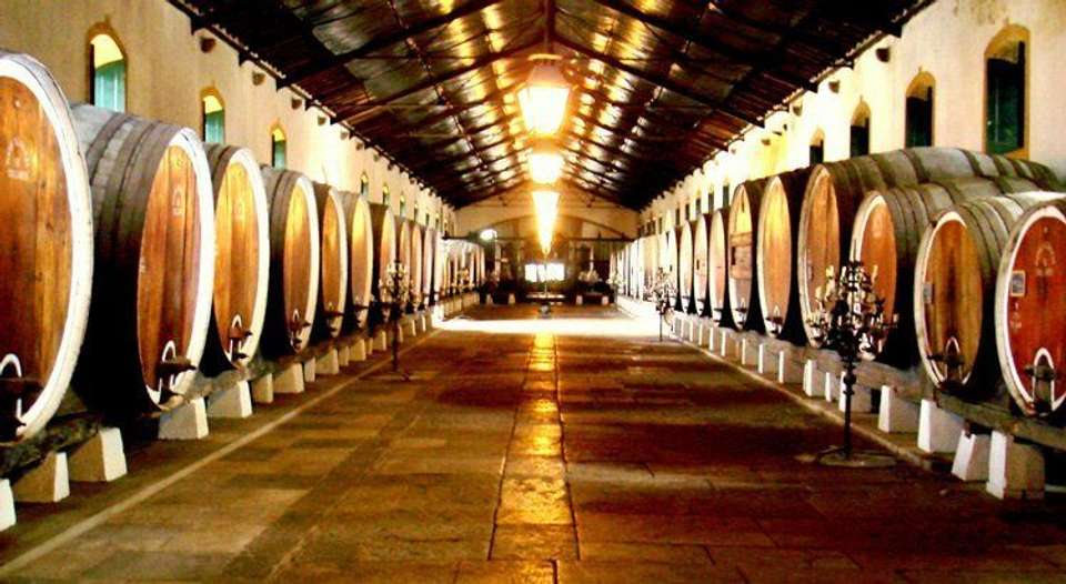 Taste of Sintra’s Wonders - Wine & Tapas Tasting Tour - Wonder Van - Portugal - Image 22