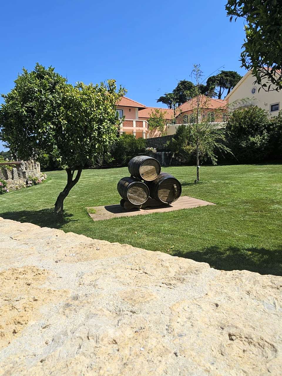 Taste of Sintra’s Wonders - Wine & Tapas Tasting Tour - Wonder Van - Portugal - Image 16