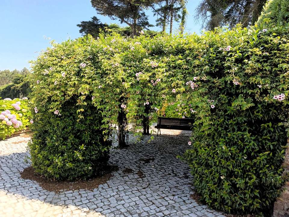 Taste of Sintra’s Wonders - Wine & Tapas Tasting Tour - Wonder Van - Portugal - Image 4
