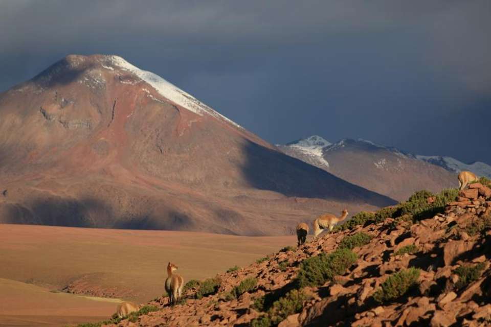 Tatio Geyser & Machuca Town Andean Adventure - Tangol Tours - Chile - Image 4