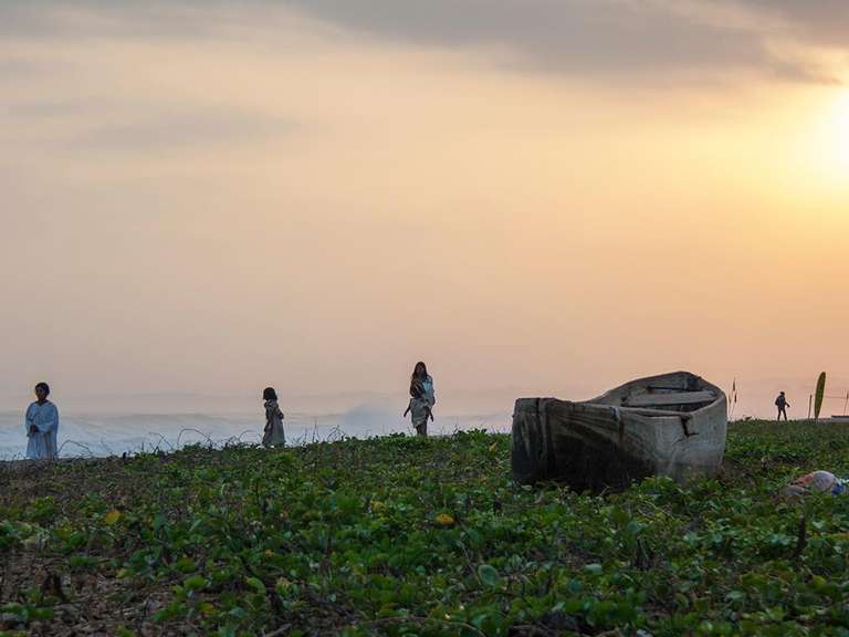 Tayrona & Palomino Experience 5D/4N trip - alternative tour available