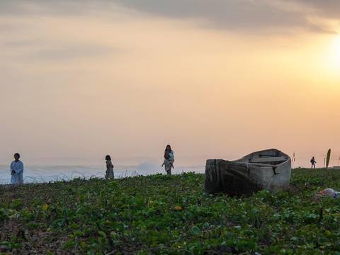 Tayrona & Palomino Experience 5d/4n - December 2025