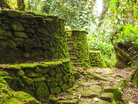 Tayrona Beaches & Lost City Trek 8d/7n - November 2025