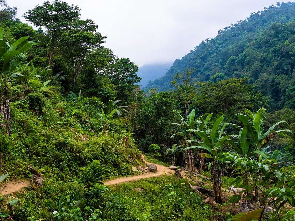 Tayrona Beaches & Lost City Trek 8D/7N - Bamba - Colombia - Image 3