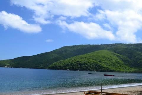 Tayrona Park: Group Tour To Bahía Concha - November 2025