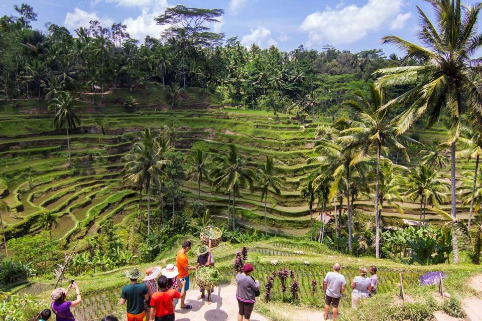Temples, Volcanoes And Beaches Of Java And Bali, Private Tour - Destination Services - Indonesia - Image 2