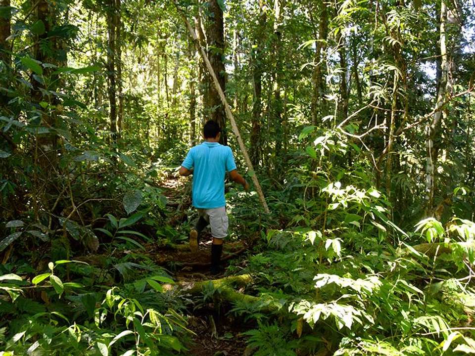 Tena Amazon Eco-Lodge Adventure 4D/3N - Bamba - Ecuador - Image 2