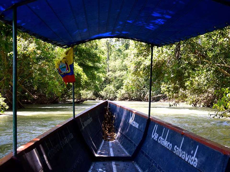 Tena Amazon Eco-Lodge Adventure 4D/3N - Bamba - Ecuador - Image 3
