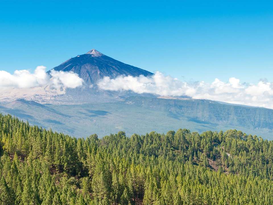 Tenerife Culture & Beach - 8 days - On The Go Tours - Spain - Image 4