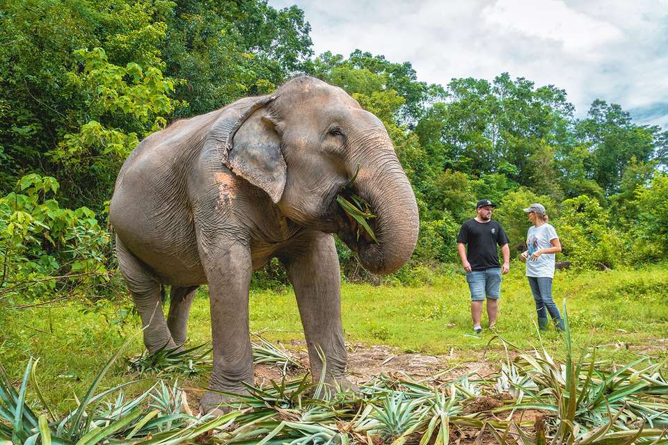 Thai Experience - Intro Travel - Thailand - Image 4