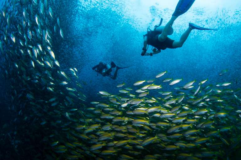 Thai Intro + Dive - December 2026