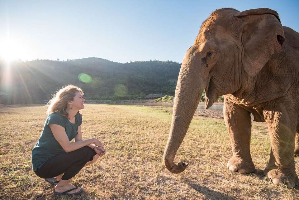 Thailand & Laos Adventure - Intrepid Travel - Thailand - Image 2