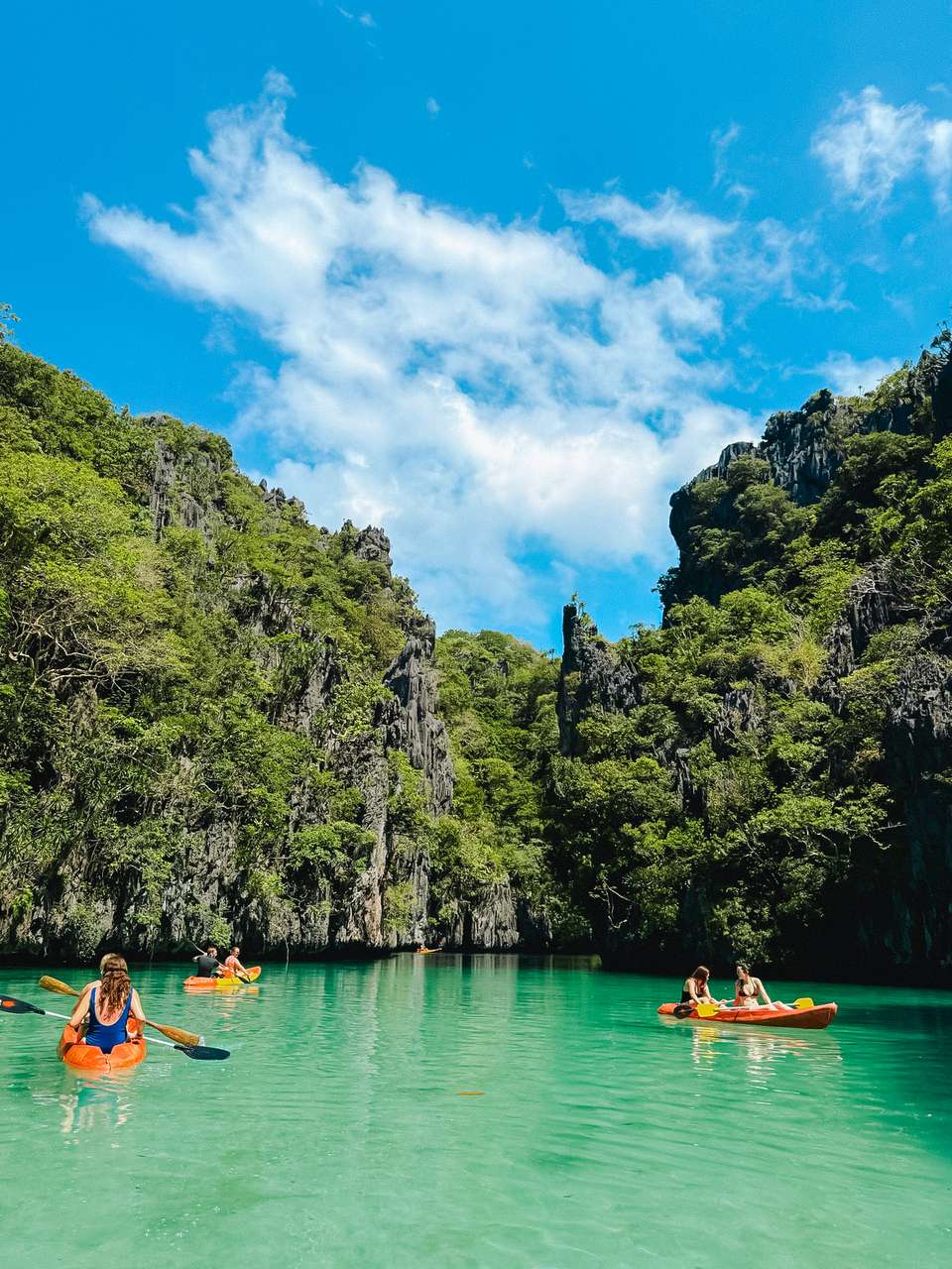 Thailand Backpacker - Trutravels - Thailand - Image 9