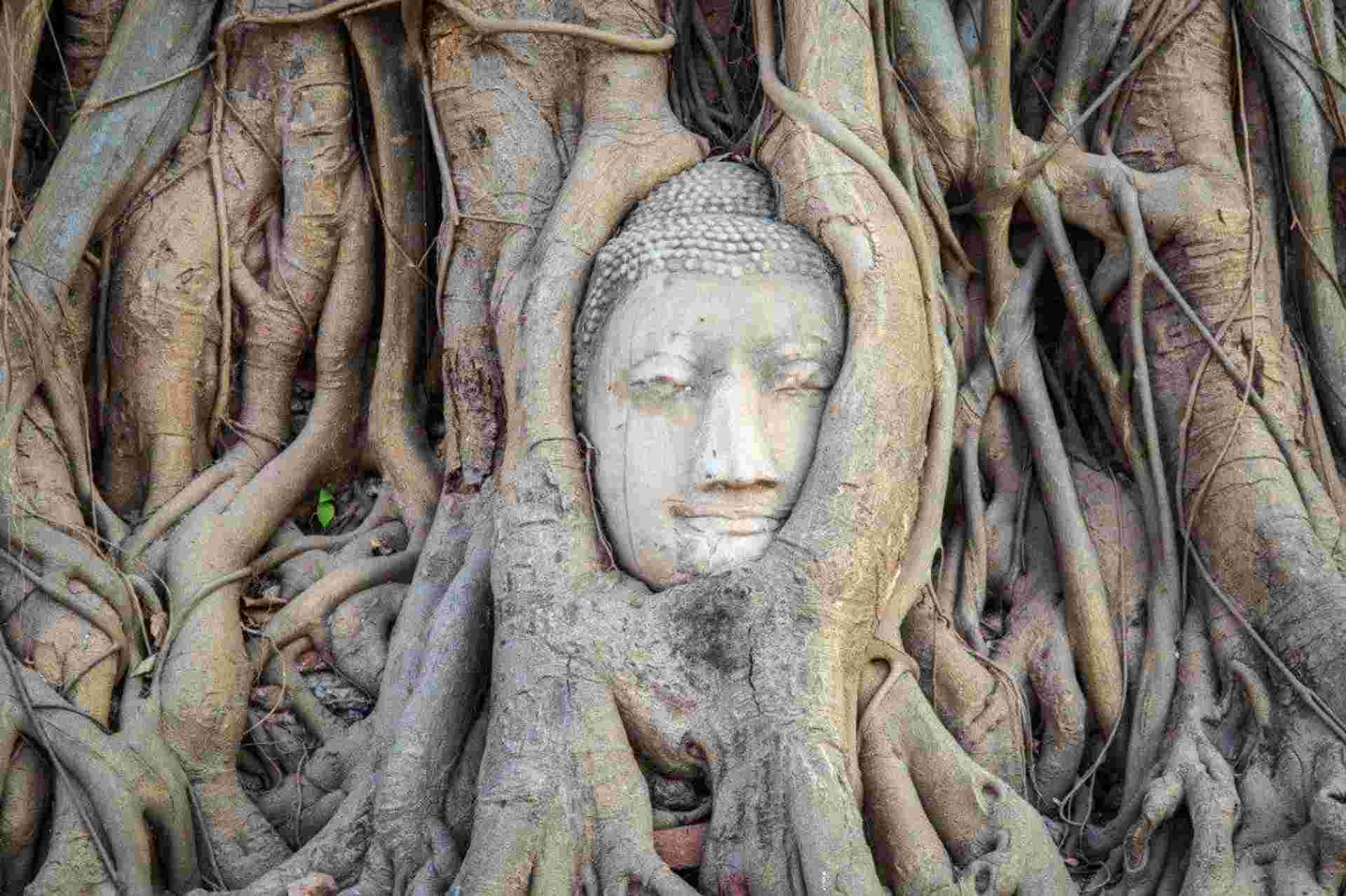 Thailand Grand Tour & Cambodia Package, Small Group Tour (english Only)