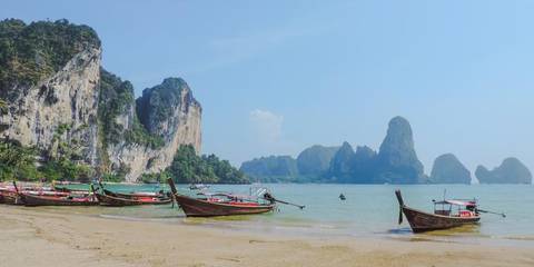 Wildlife Tour: Thailand: Night Markets & Blue Waters