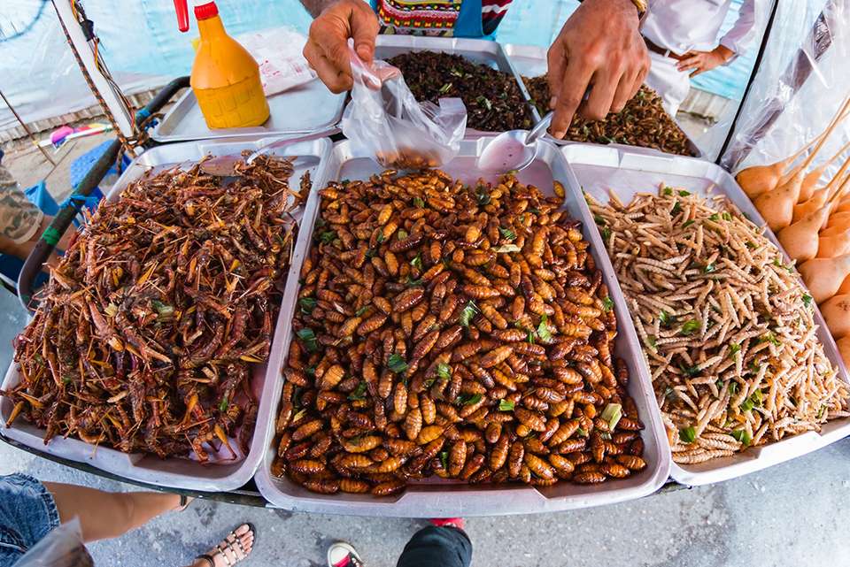 Thailand Real Food Adventure - Intrepid Travel - Thailand - Image 9
