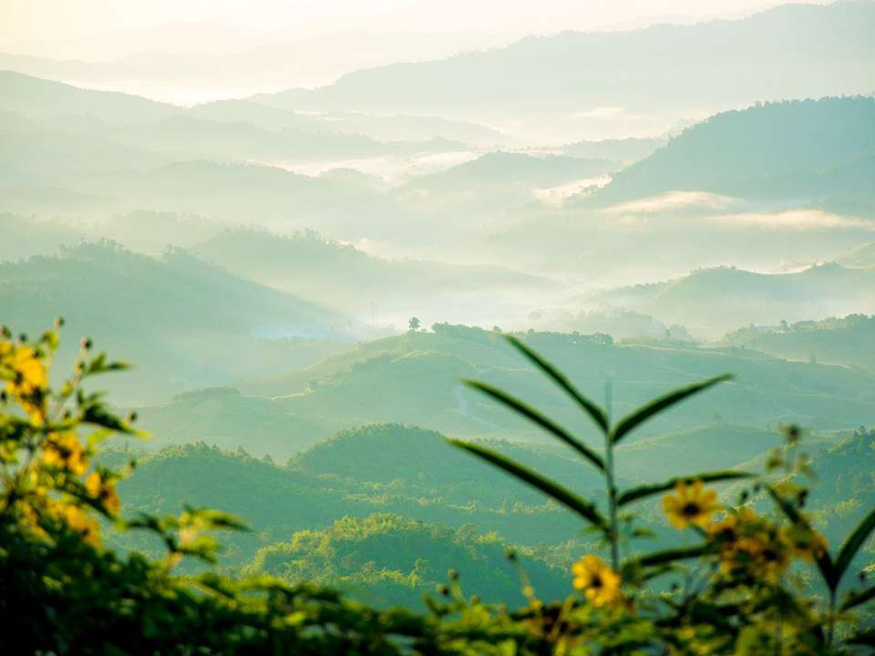 Thailand, Temples & Tribes - 10 days - On The Go Tours - Thailand - Image 7