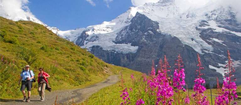 The Alpine Pass Route