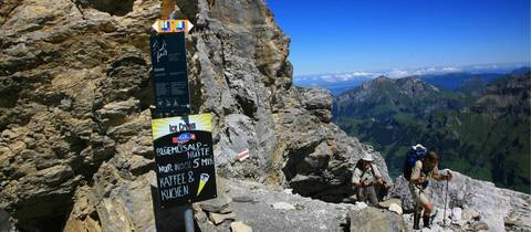 Tours For Senior Citizens: The Alpine Pass Route