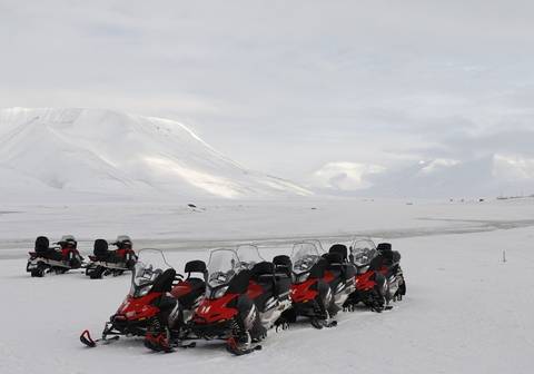 An Arctic Adventure In Norway - February 2026