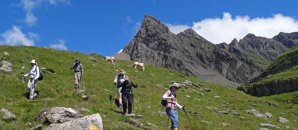 The Bernese Oberland and Reichenbach Falls - Walkers' Britain - Switzerland - Image 7