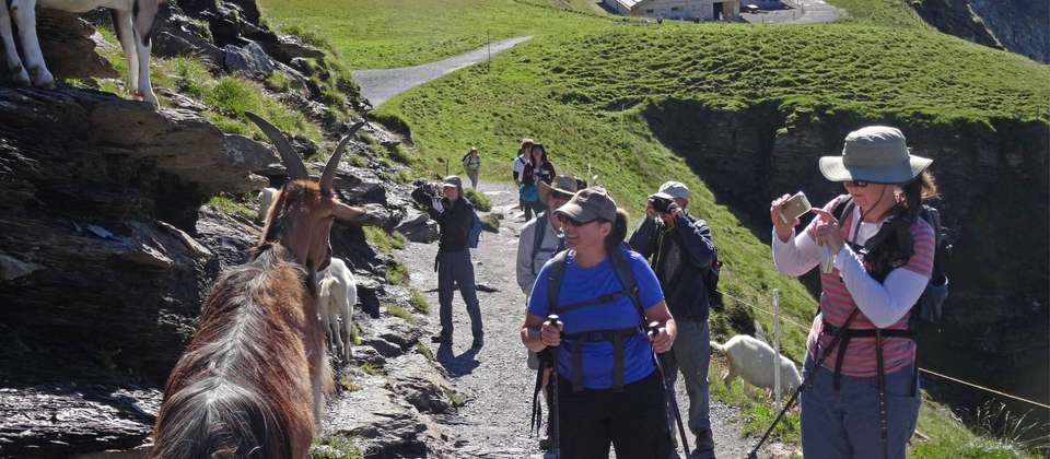 The Bernese Oberland and Reichenbach Falls - Walkers' Britain - Switzerland - Image 8