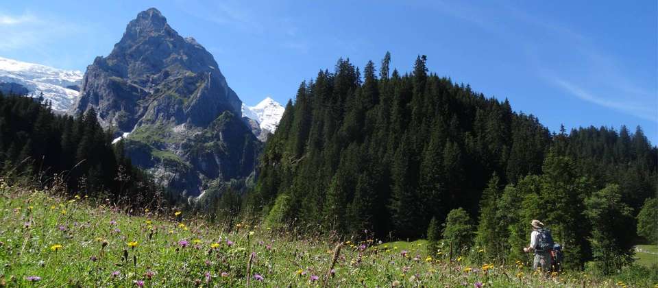 The Bernese Oberland and Reichenbach Falls - Walkers' Britain - Switzerland - Image 9