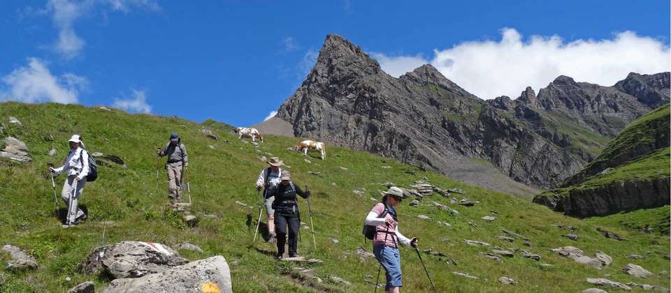The Bernese Oberland and Reichenbach Falls - World Expeditions - Switzerland - Image 6