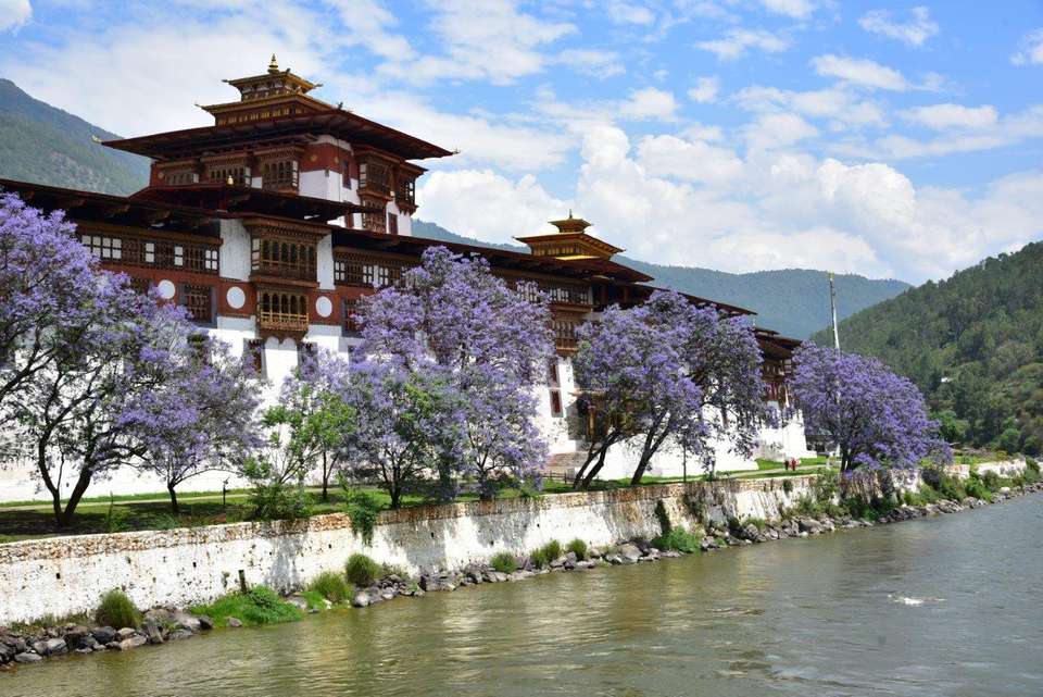 The Best Of Bhutan, French-speaking Guide, Private Tour - Destination Services - Bhutan - Image 7