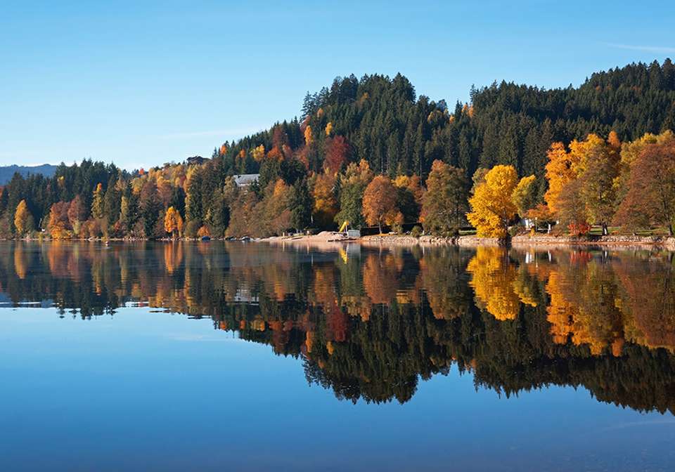 The Best of Central Europe Self-Drive - Indus Travels - Germany - Image 4
