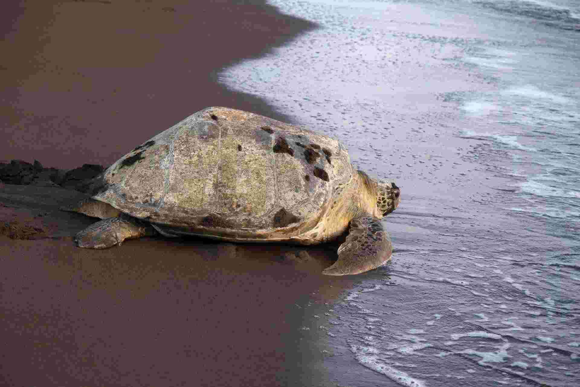 The Best Of Costa Rica