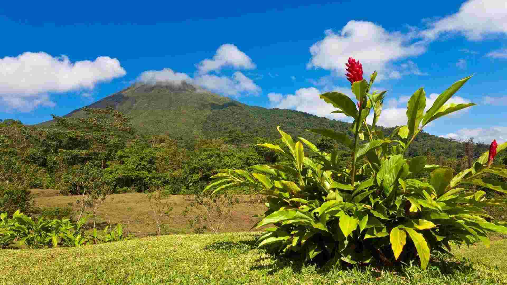 The Best Of Costa Rica, Self-drive