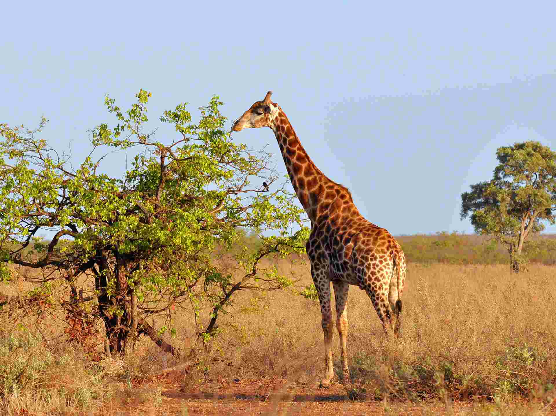 The Best of East Africa - 12 days