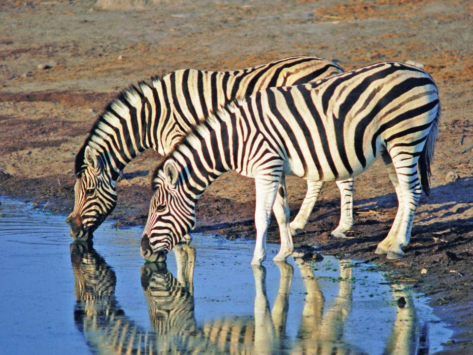 The Best of East Africa - 12 days - On The Go Tours - Kenya - Image 6