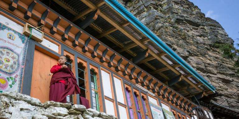 South Asia Wildlife Tour: The Best of India & Bhutan