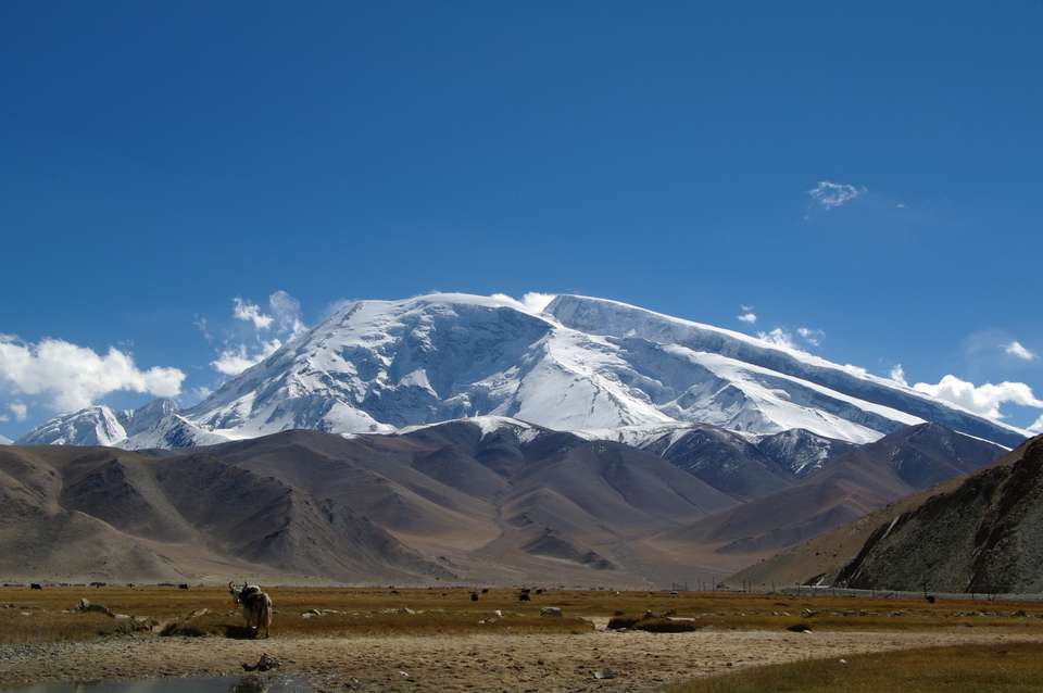 Image 5 of 12