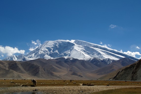 Image 5 of 12